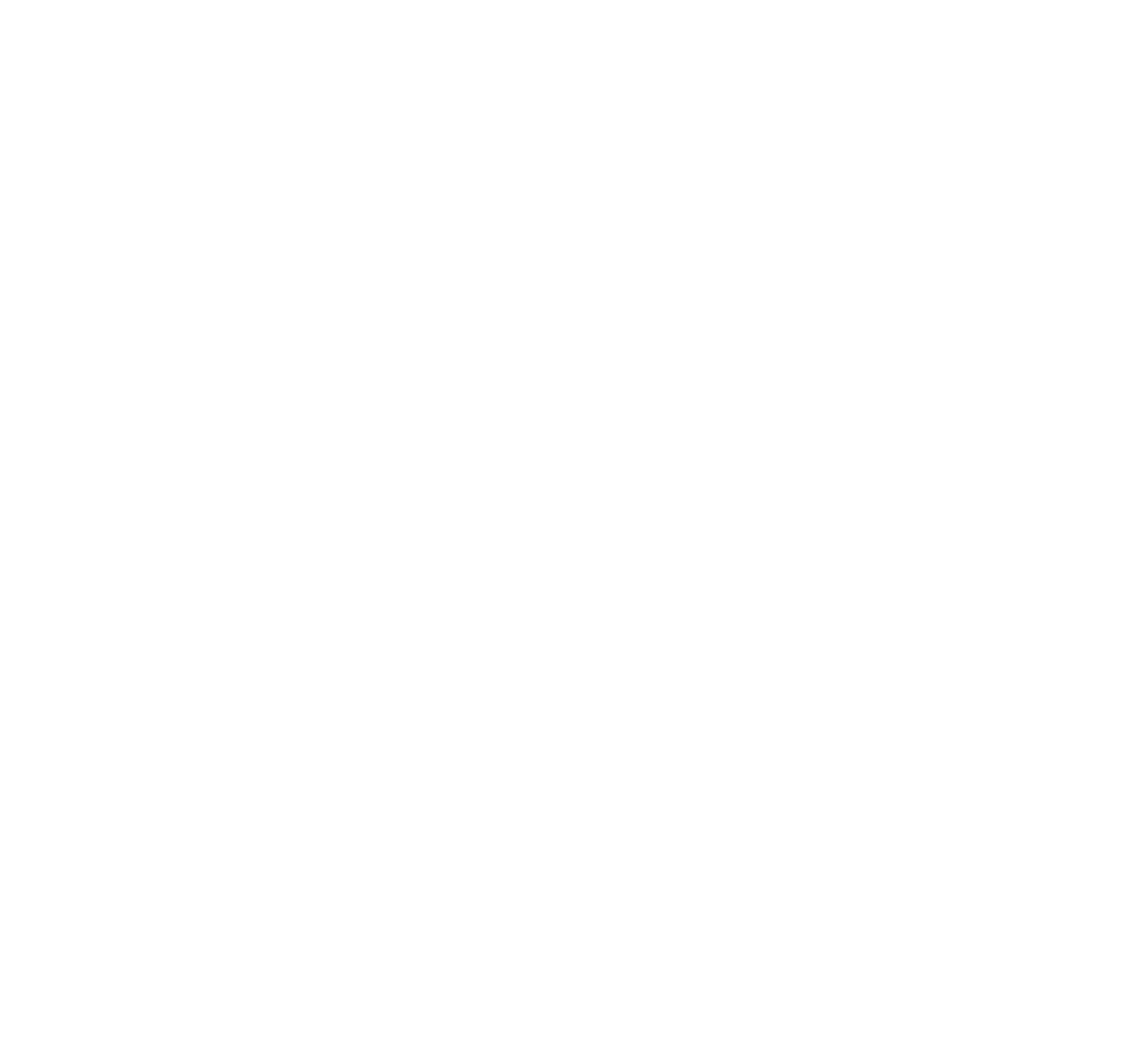 logo cargas TRM blanco